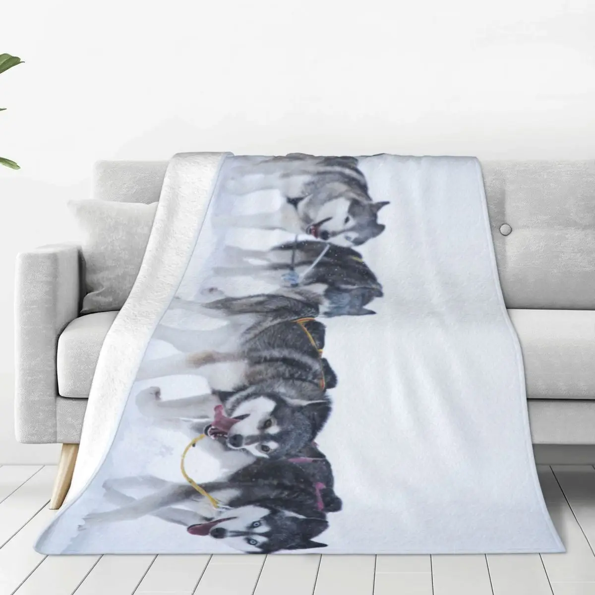 

Husky Dog In Winter Soft Flannel Throw Blanket for Couch Bed Warm Blanket Lightweight Blankets for Sofa Travel Blanket