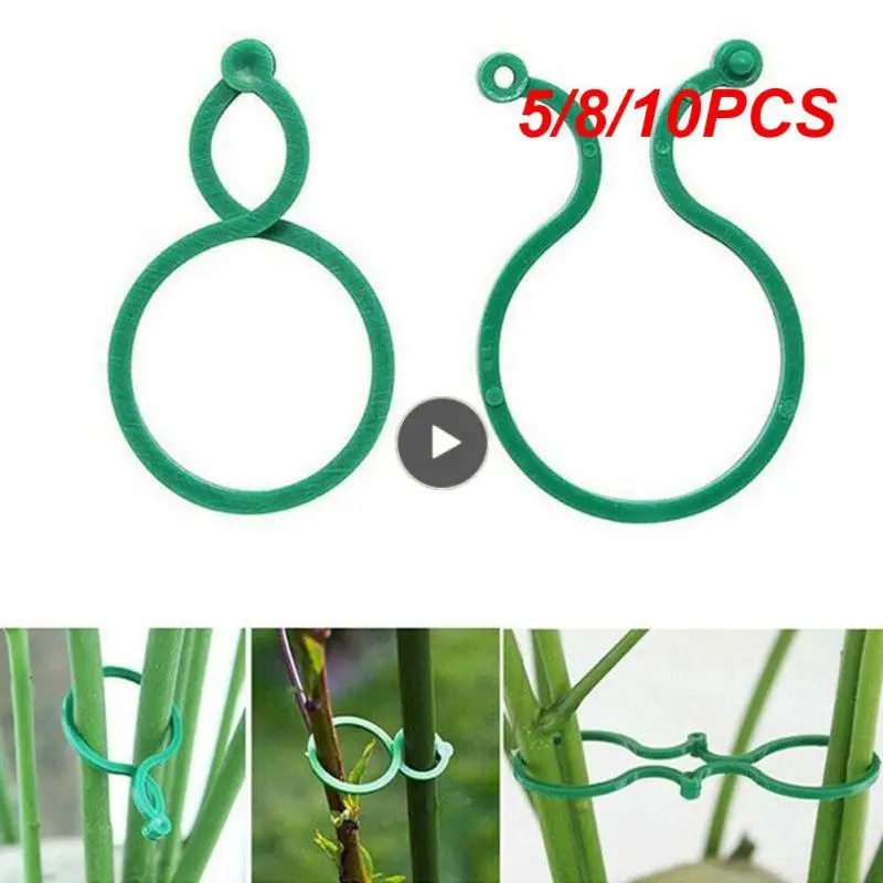

5/8/10PCS Fastener Tied Buckle Hook Plastic Plant Climbing Plant Wall Climbing Vine Clips Wall Self-adhesive Fixed Hot Garden