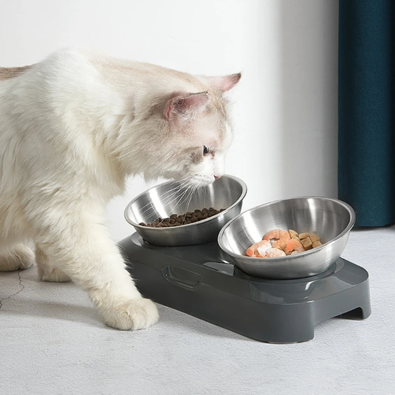 

Dog Cat Bowls with Raised Stand Pet Food Water Feeder 15° Tilted Platform Non-slip Puppy Kitten Drinking Dispenser