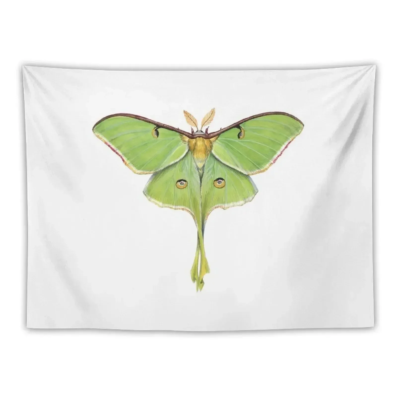 Luna Moth (Actias luna) II Гобелен Декоративная настенная роспись Декор комнаты