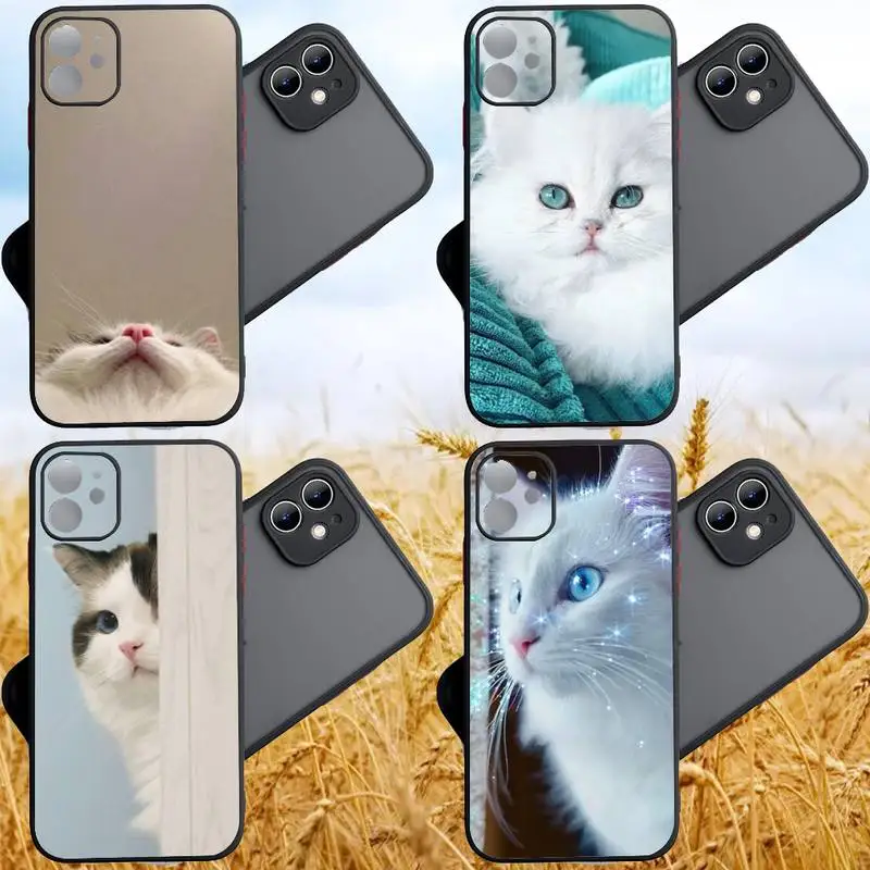 

Cat Cats Cute Phone Case For IPhone 12 11 13 14 Pro Max X XR XS SE2020 7 8 Plus Hard Shockproof Cover Case