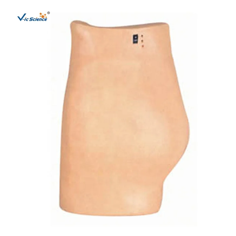 

Electronic Buttocks Injection Simulator for Nurse Training