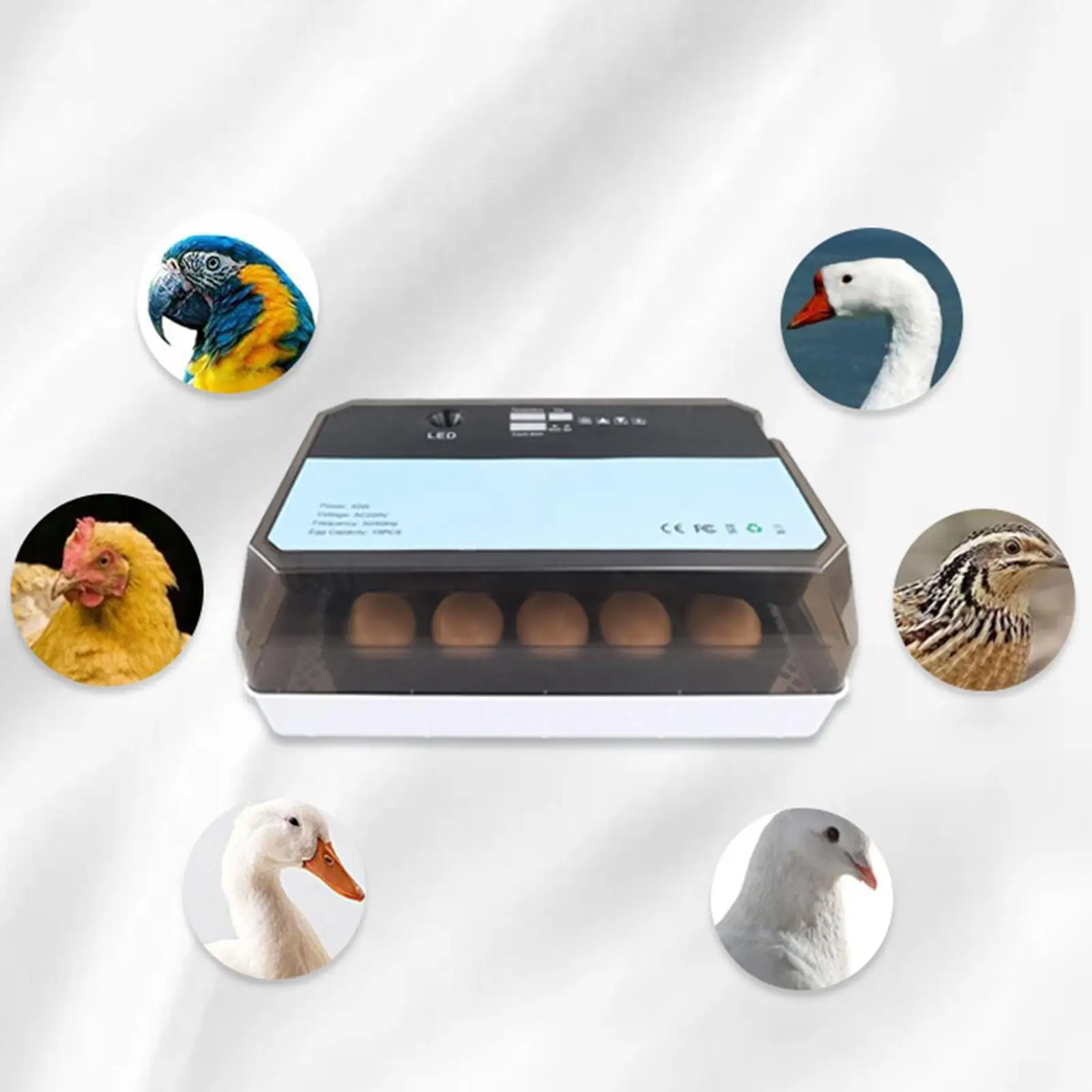 

Инкубатор для яиц, автоматический инкубатор с светильник ЛЕМ температуры, 15 яиц, инкубатор для цыплят, голубей, индейки