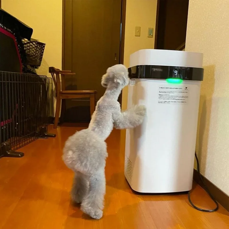 Airdog Сильная очистка Многоразовый фильтр Очиститель воздуха Очистка в комнате