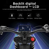 Электрический байк на 2000 Вт, 48V35AH, 55 км/ч#6