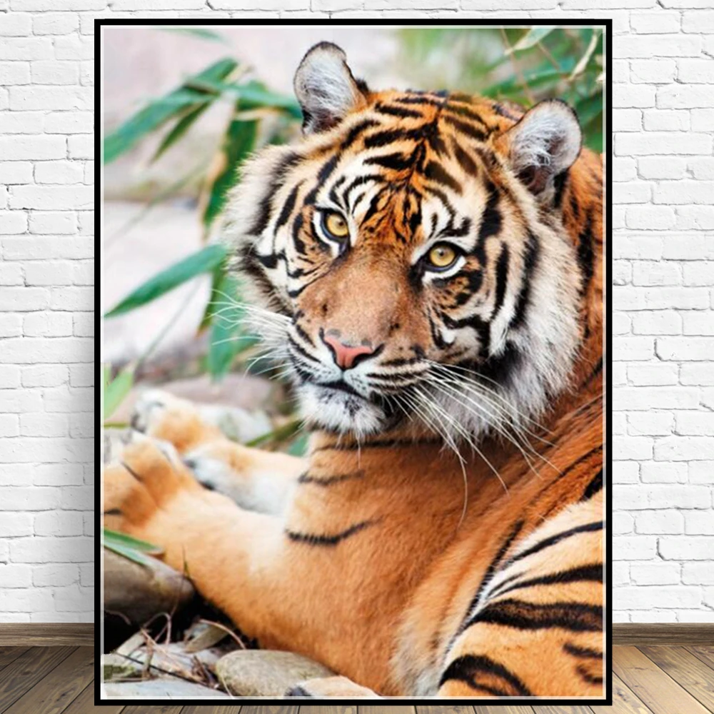 

Animal Tigers DIY 5D Diamond Painting Full Drill Square Round Embroidery Mosaic Art Picture Of Rhinestones Home Decor Gifts