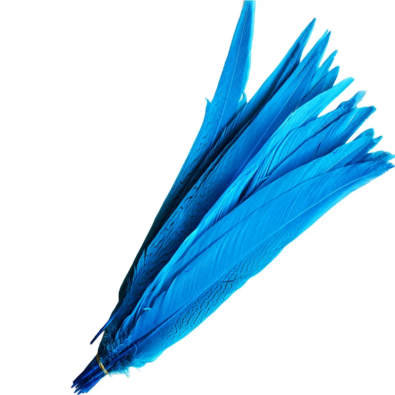 

Lake Blue Silver Chicken Tail Feathers 40-70Cm/16-32Inche Diy Props Celebration Carnival Party Decoration plumas para vestidos