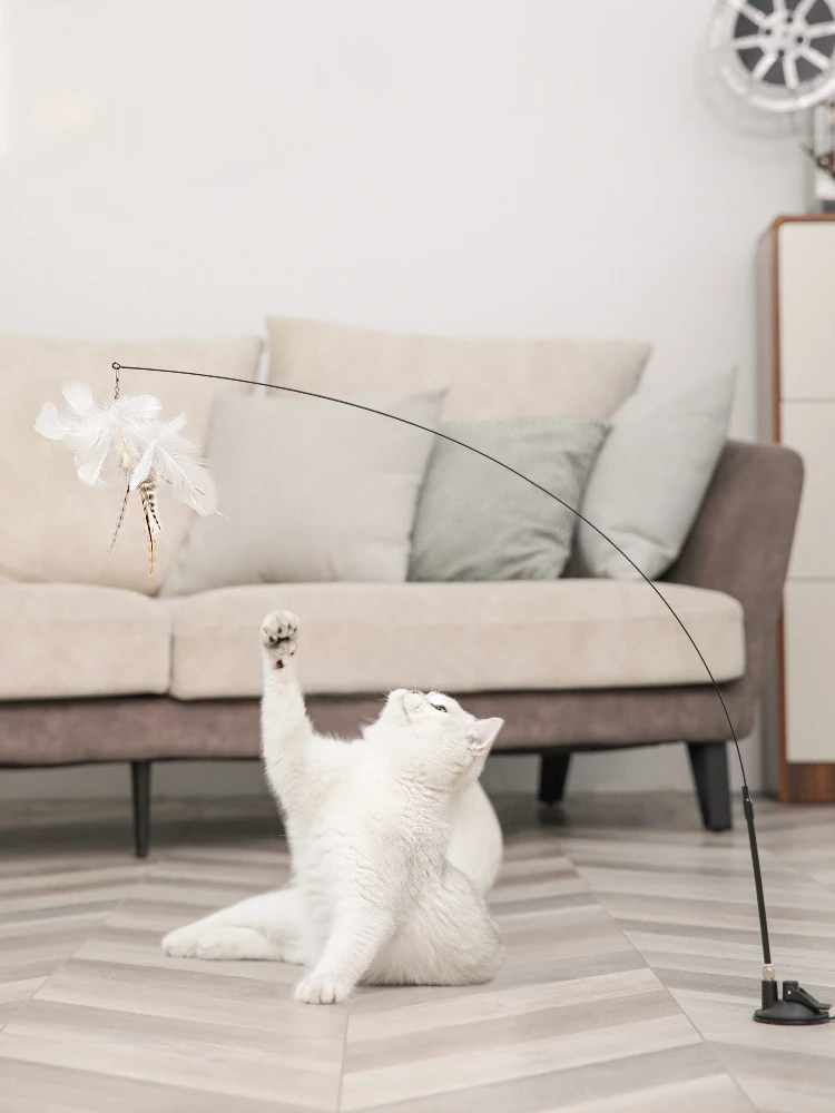 

Выдвижной игрушечный тазер для кошек, палочка с присоской для самостоятельной игры, из проволоки SS, сменные наполнители, Интерактивная игру...