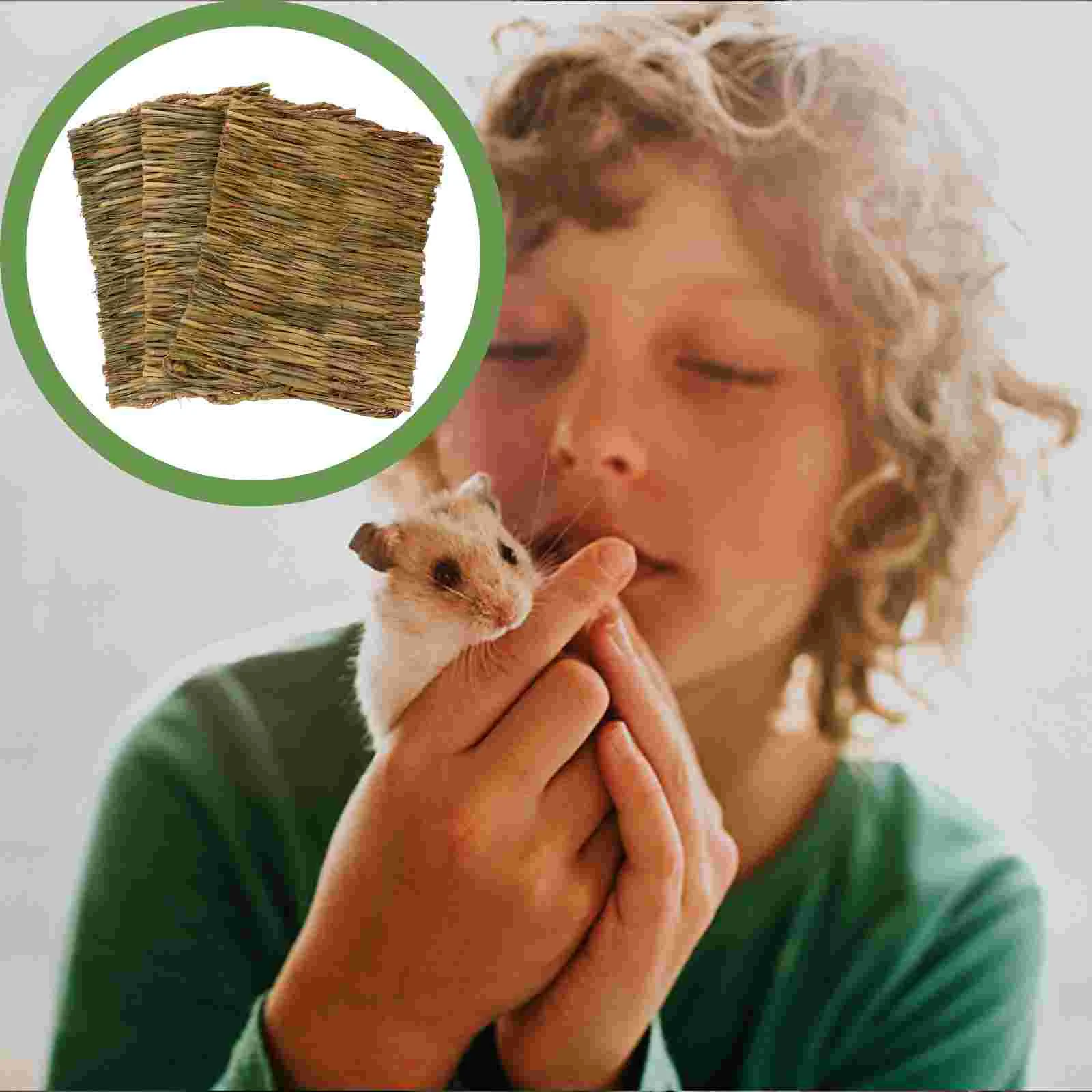 

3Pcs Guinea Cage Guinea Bedding Rabbit Cage Guinea Bedding Odor Control Rabbit Toys Bunny Toys