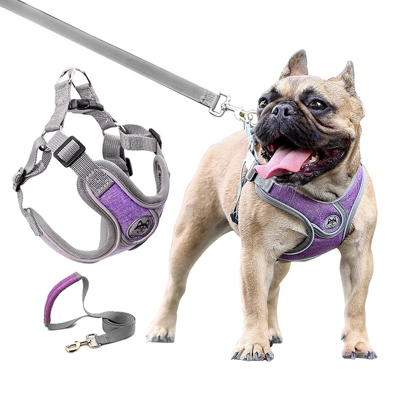 

Pet Small Dog Harness and Leash Set Adjustable Vest Reflective Puppy Breathable Mesh Harness Dog Leash