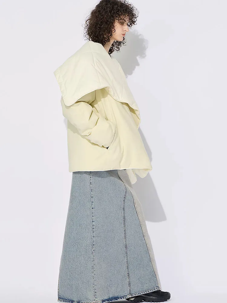 Женская одежда y2k осенняя и зимняя простая свободная хлопковая куртка с большим