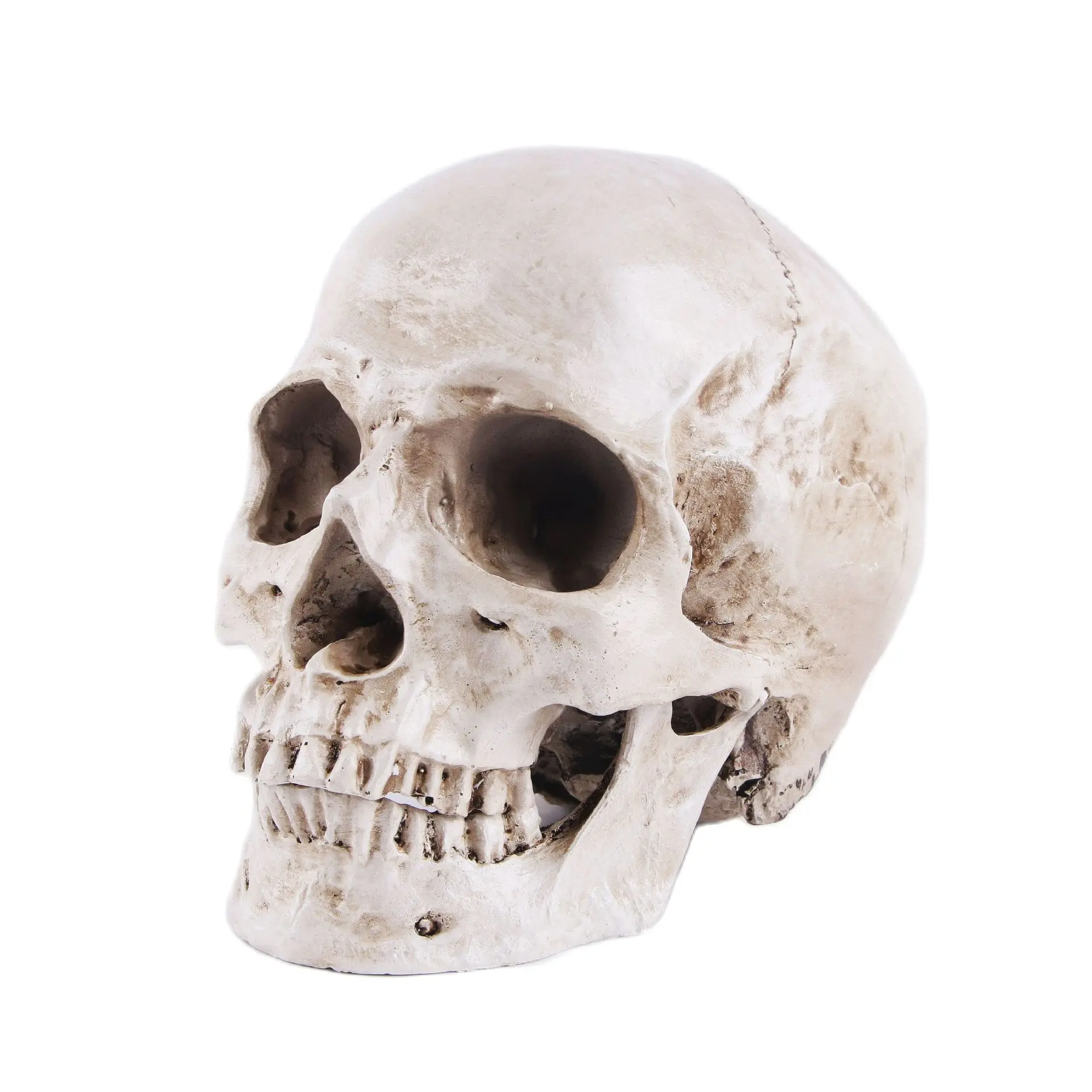 

BUF 1:1 Статуэтка человеческого черепа, уникальная Фотополимерная поделка, статуэтки, украшения для дома, подарок на Хэллоуин, Калера