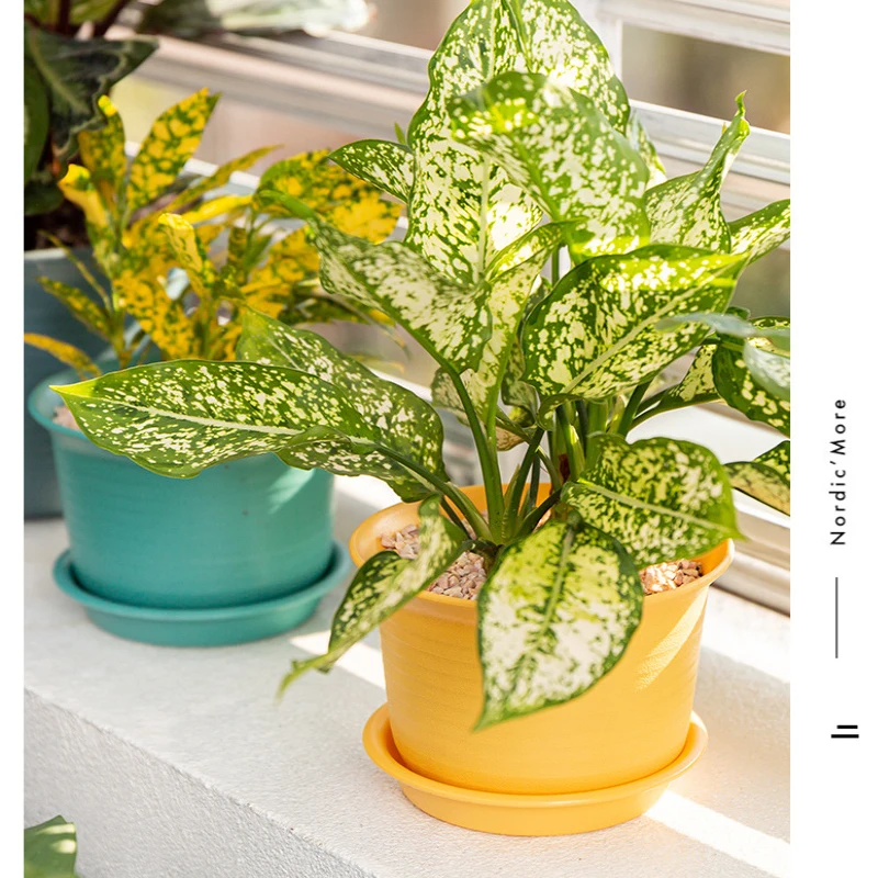 Каучуковый цветочный горшок с подносом