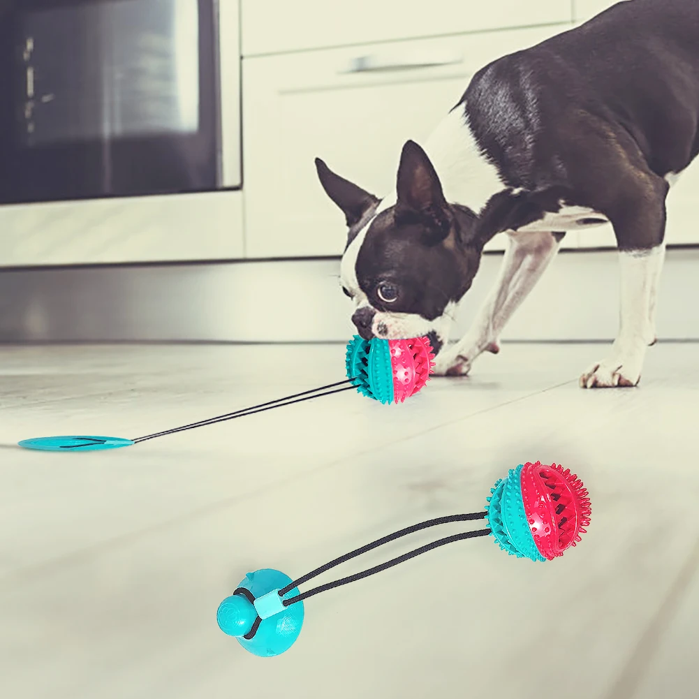 

Puppy Chew Ball Pet with Suction Cup Pet Wear-resistant Elasticity Suction Rubber Toy Molar Chew Toy for Household Dog