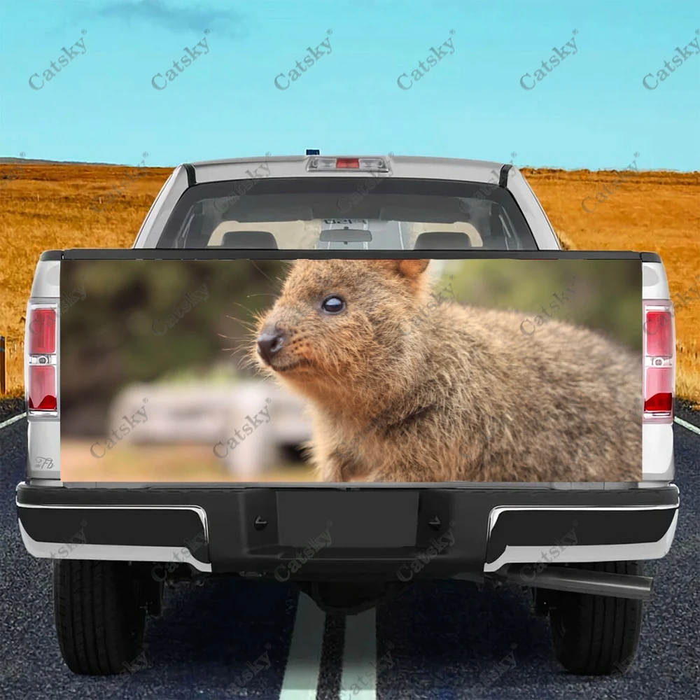 

Автомобильные наклейки с животными Quokka, украшение для заднего вида грузовика, живопись, наклейки для модификации автомобиля, аксессуары для автомобиля, искусство
