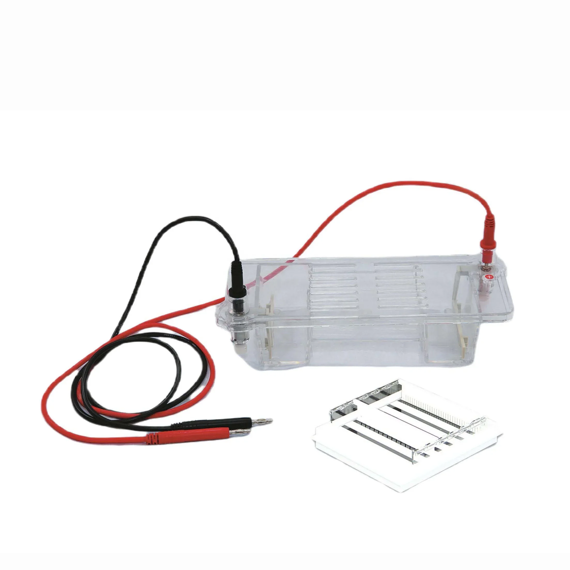 CHINCAN DYCP-32B Аппарат для горизонтального электрофореза с ядерной кислотой два геля