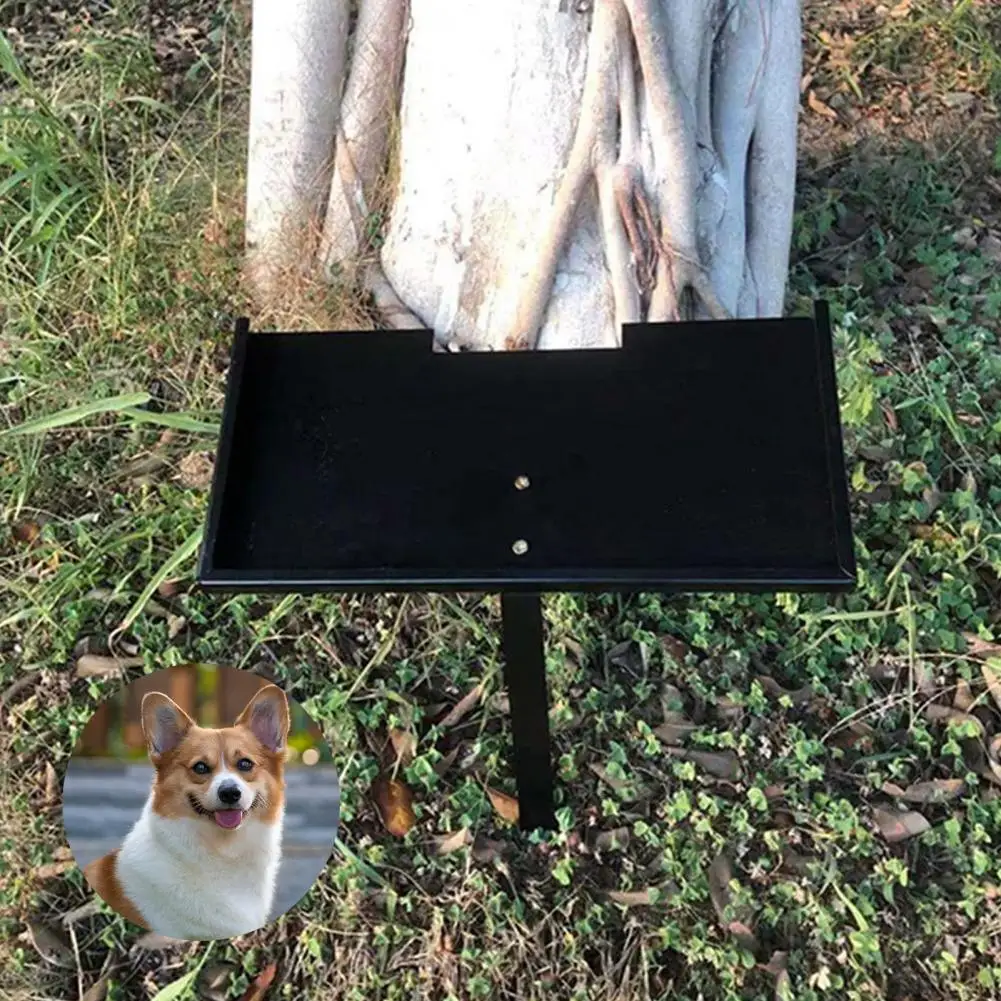 

1 Набор, долговечный камень для домашних животных