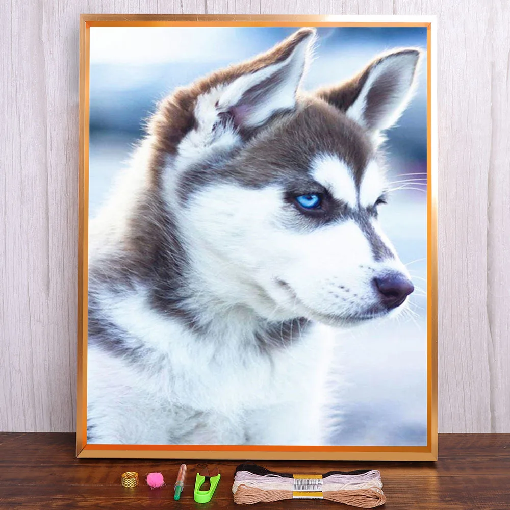 

Водорастворимый холст с изображением животных, собаки, 11CT, Набор для вышивки крестиком «сделай сам», DMC нитки, хобби, вязание, рукоделие, Деко...