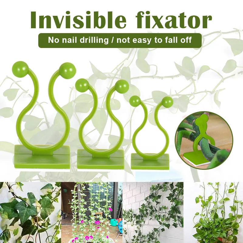 

Invisible Wall Vines 10 Pcs Fixture Plant Climbing Wall Clip Sticky Hook Fixing Clip Holder for Home DC156