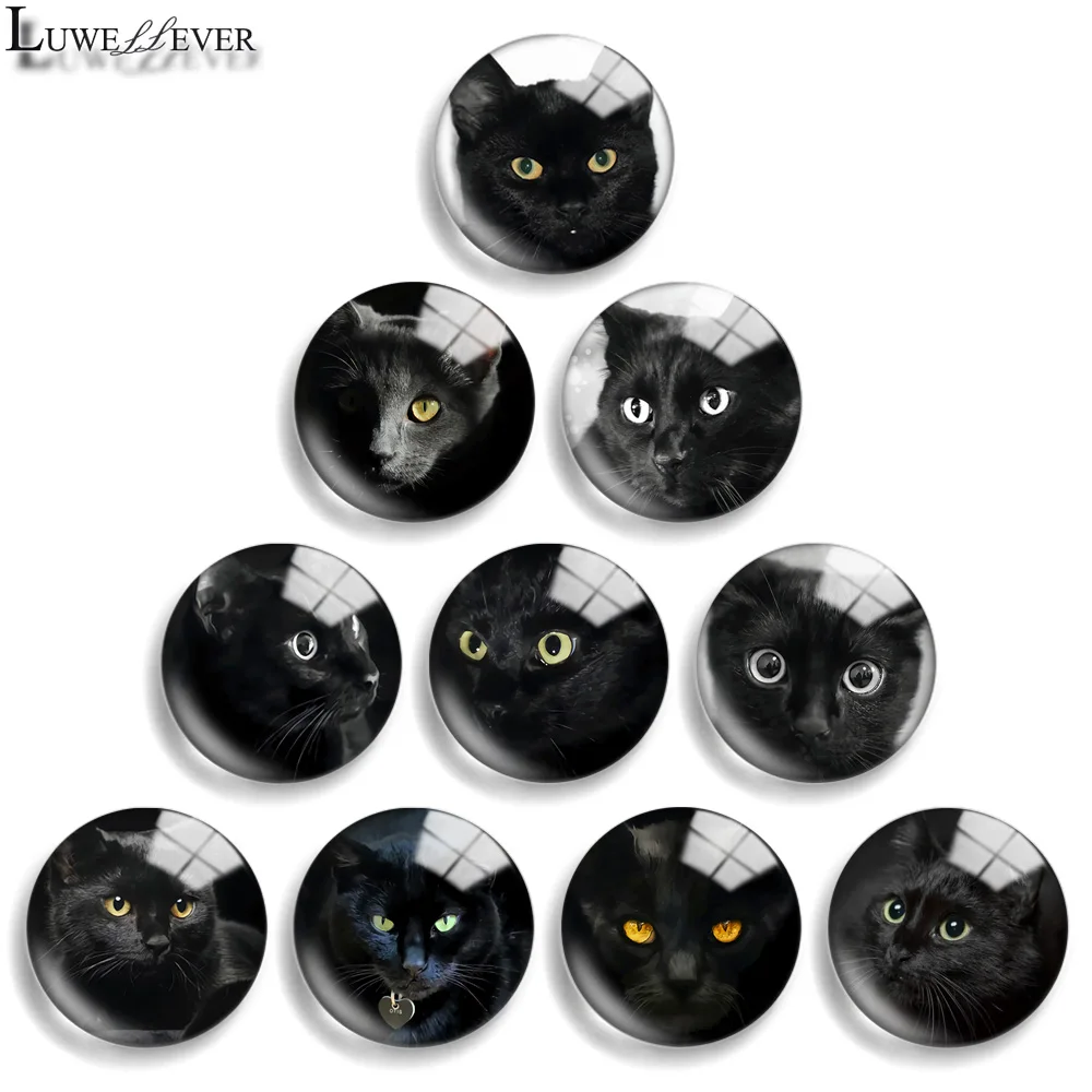 

12mm 10mm 20mm 25mm 30mm 40mm 828 Black Cat Mix Round Glass Cabochon Jewelry Finding 18mm Snap Button Charm Bracelet