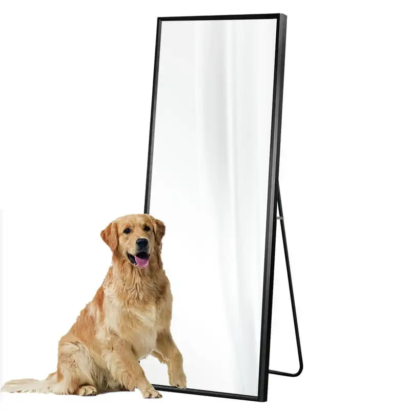 

Aluminum Alloy Frame Mirror Rectangular Full Length Floor Mirror Black