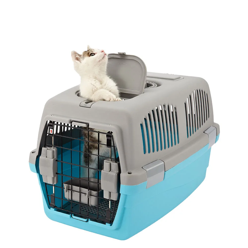 

Wholesale Pet Supplies Dogs 2021 Cats Top Supplies For Pets New Private Logo China Luxury Dropshipping Pet Supplies