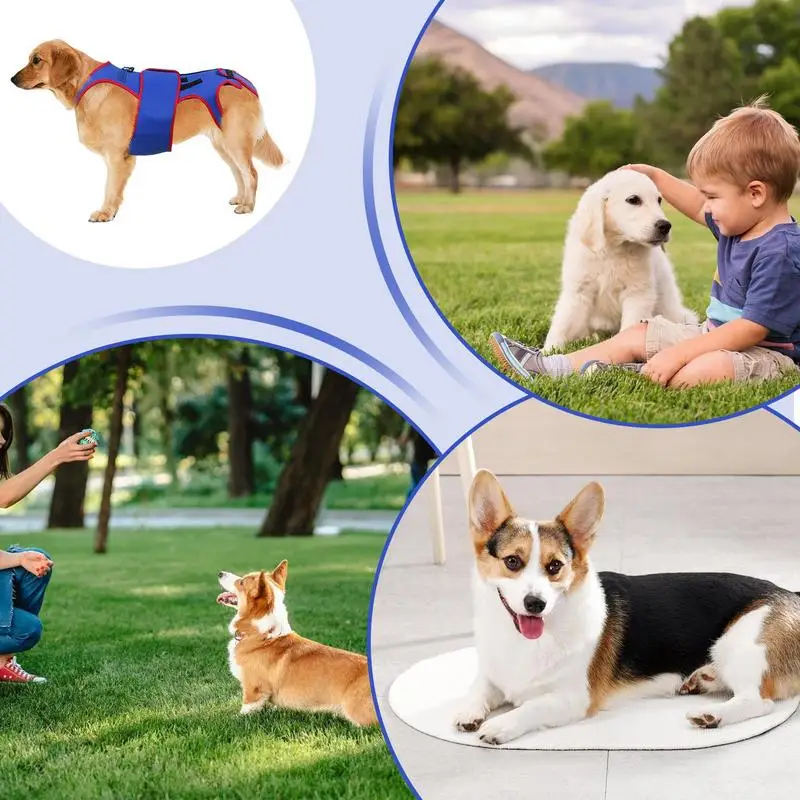 Поддерживающий бандаж для собак мягкая реабилитационная повязка на бедра