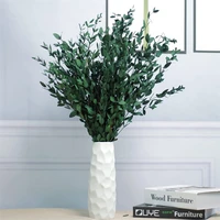 dried eucalyptus stems real for shower preserved fresh eucalyptus green leaves for arrangement wedding boho home vase decor