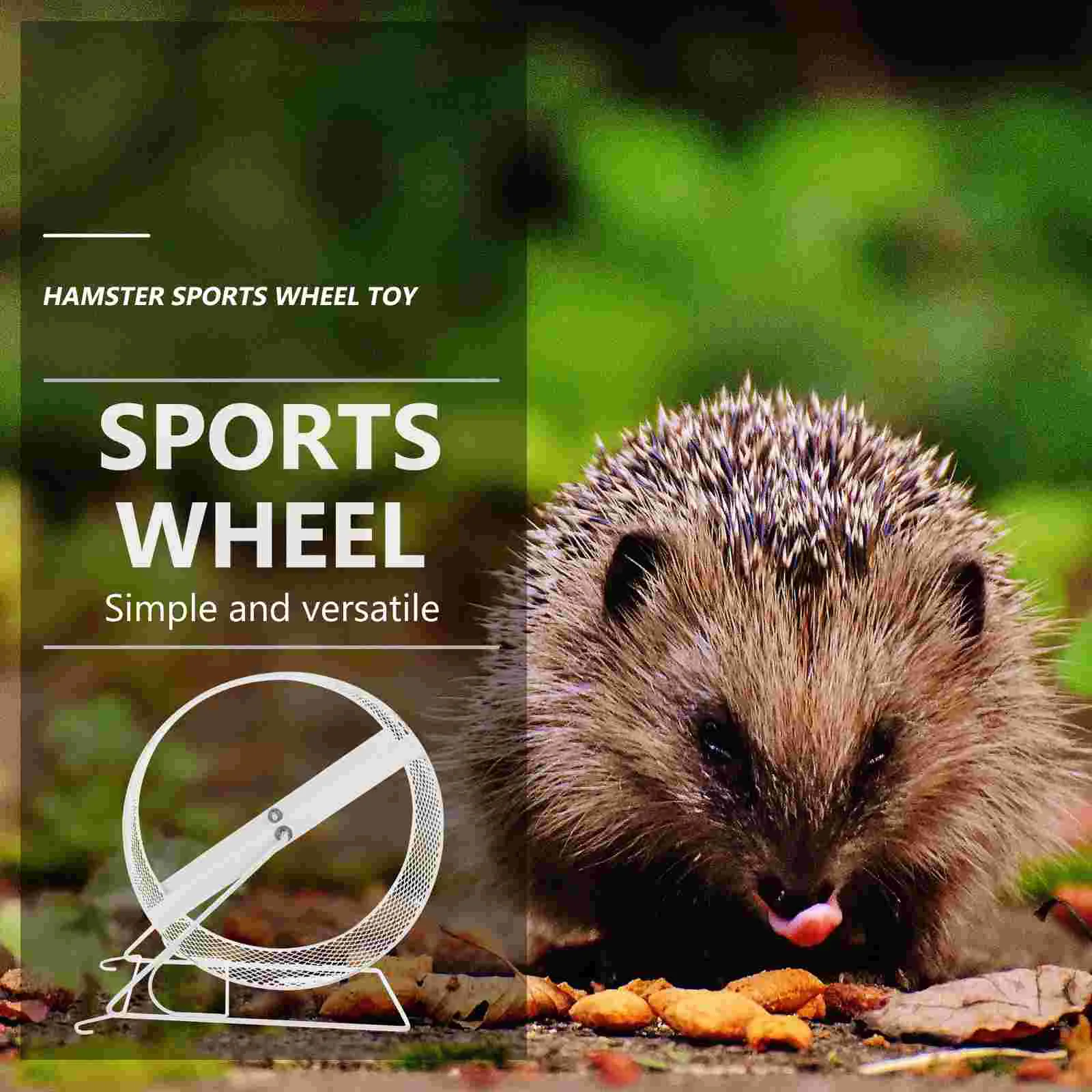 Хомяк беговое колесо Шиншилла Маленькие животные Игрушечные упражнения