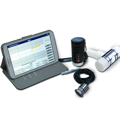 

New Hot sale ZBL- P8000 Wireless Pile Testing Instruments