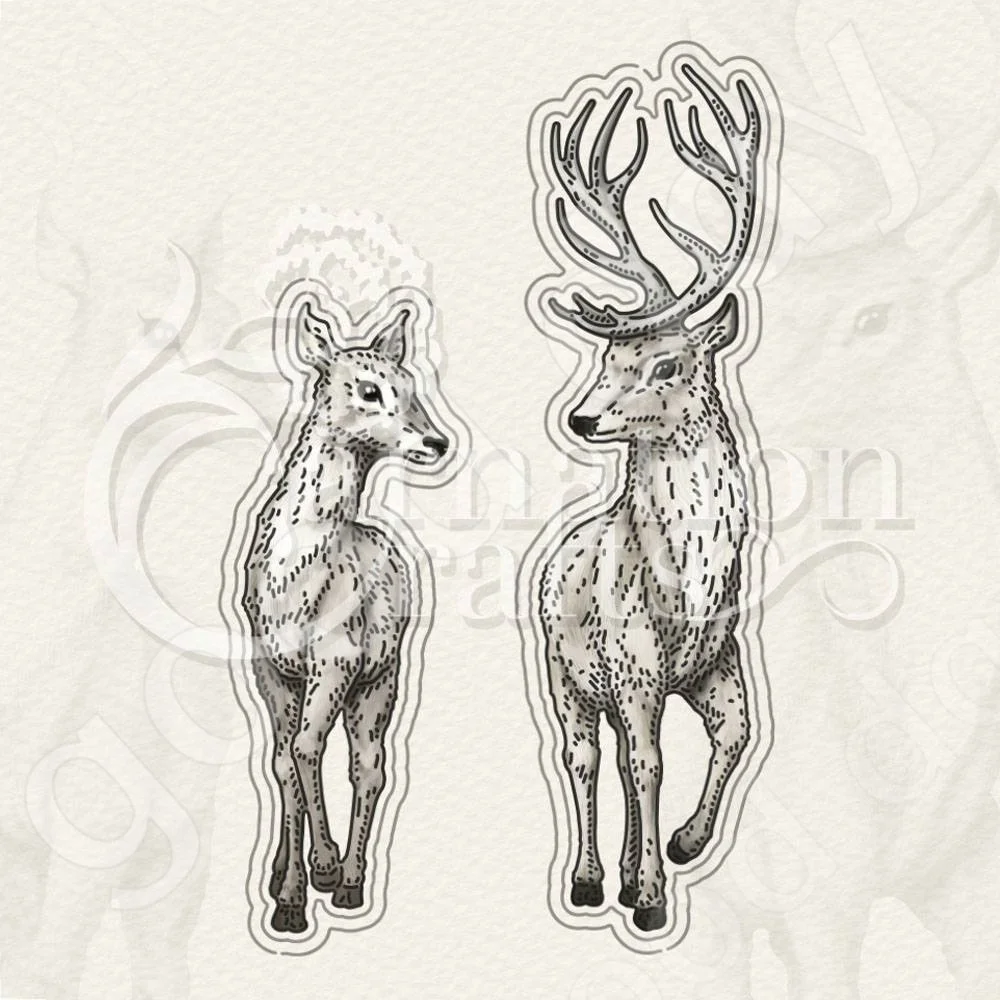 

2022 New Magnes & Maya Metal Cutting Dies Scrapbook Diary Decoration Embossing Template Diy Greeting Card Handmade Hot Sale