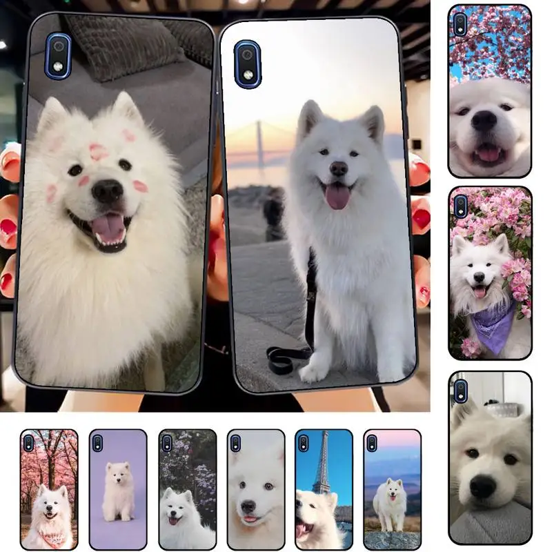 

Lovely Samoyed dog Phone Case for Samsung A51 01 50 71 21S 70 31 40 30 10 20 S E 11 91 A7 A8 2018