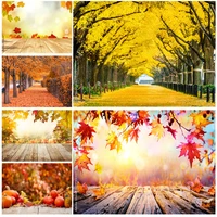 natural scenery photography background fall leaves forest landscape travel photo backdrops studio props 211224 qqtt 04