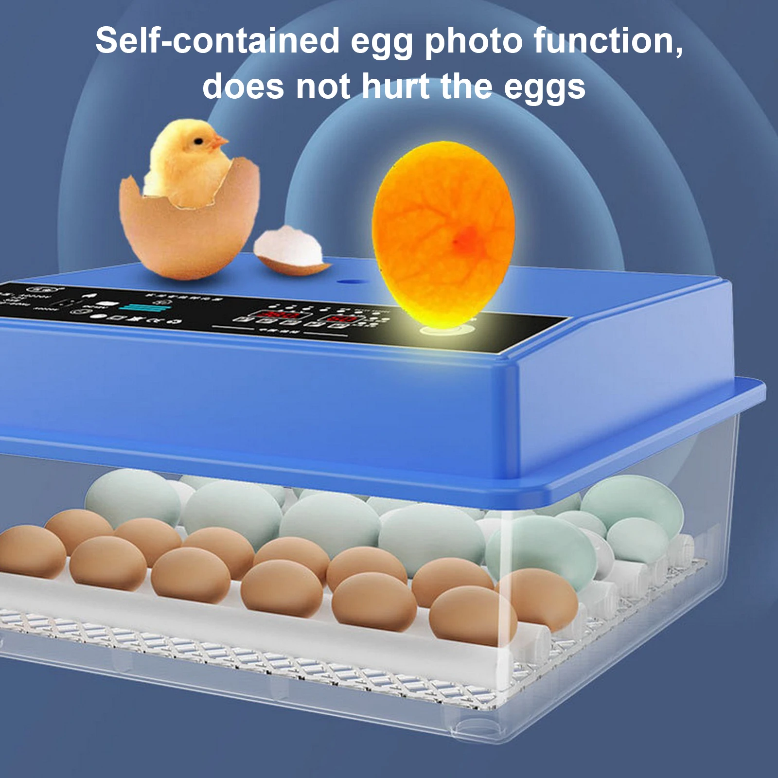 Инкубатор 120 яиц купить. Цыплята в инкубаторе. Инкубация цыплят. Температура в инкубаторе для куриных яиц таблица. Купить инкубатор для птиц.
