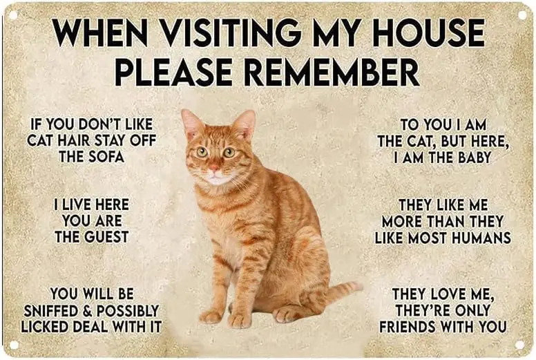 Настенный постер Vntage металлическая табличка забавный кот When Vstng My House пожалуйста