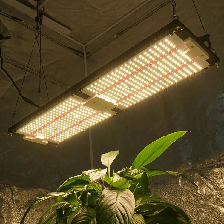 

KingBrite King Brite LED 240W V4 Samsung LM301H Mix Epistar 660nm Full Spectrum 240W Led Grow Lights