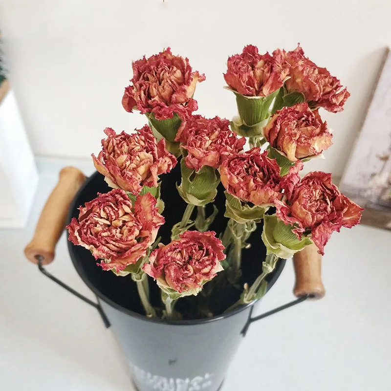 10 шт. Натуральные сушеные цветы |