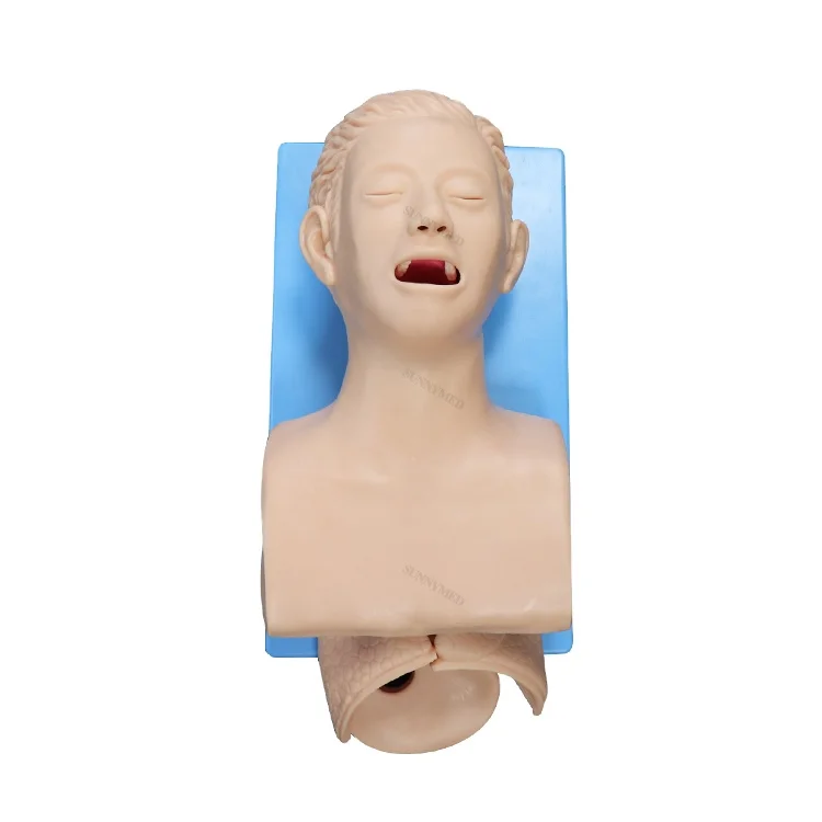 

SY-N034 Advanced Child Tracheal intubation Model Intubation Simulator