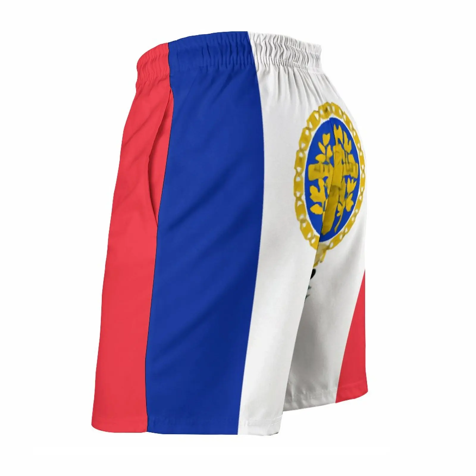 Рисунок 2 - Французский флаг