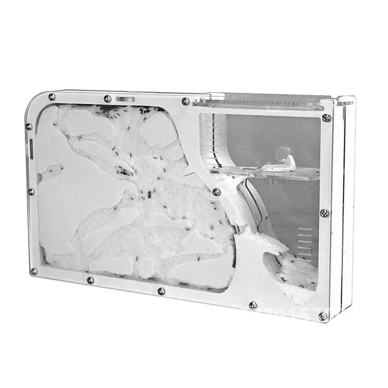 Замок муравья 2021 M экологическая коробка для насекомых мастерская муравьев племя