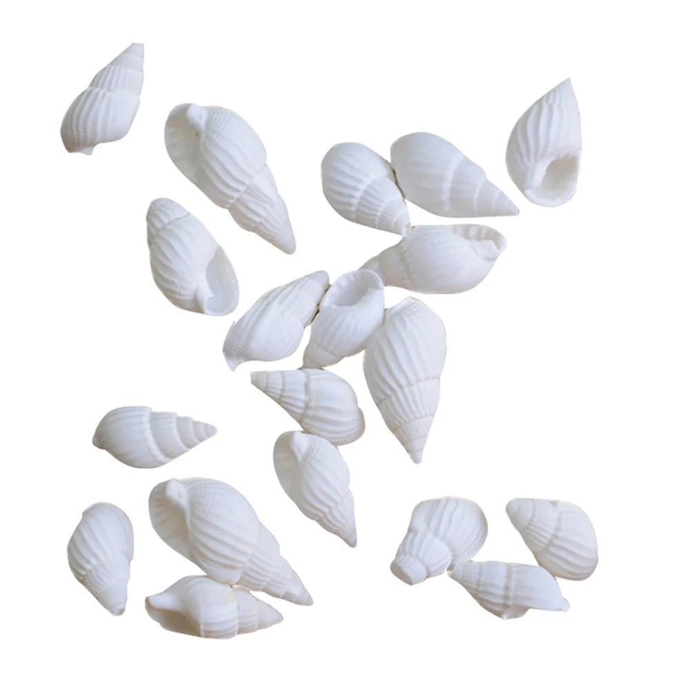 

Shells Sea Shell Conch Crafts Conches Seashells Decor Tiny Decorating Wedding Minidecorations Oyster Cowrie Home Craft Wall Sand