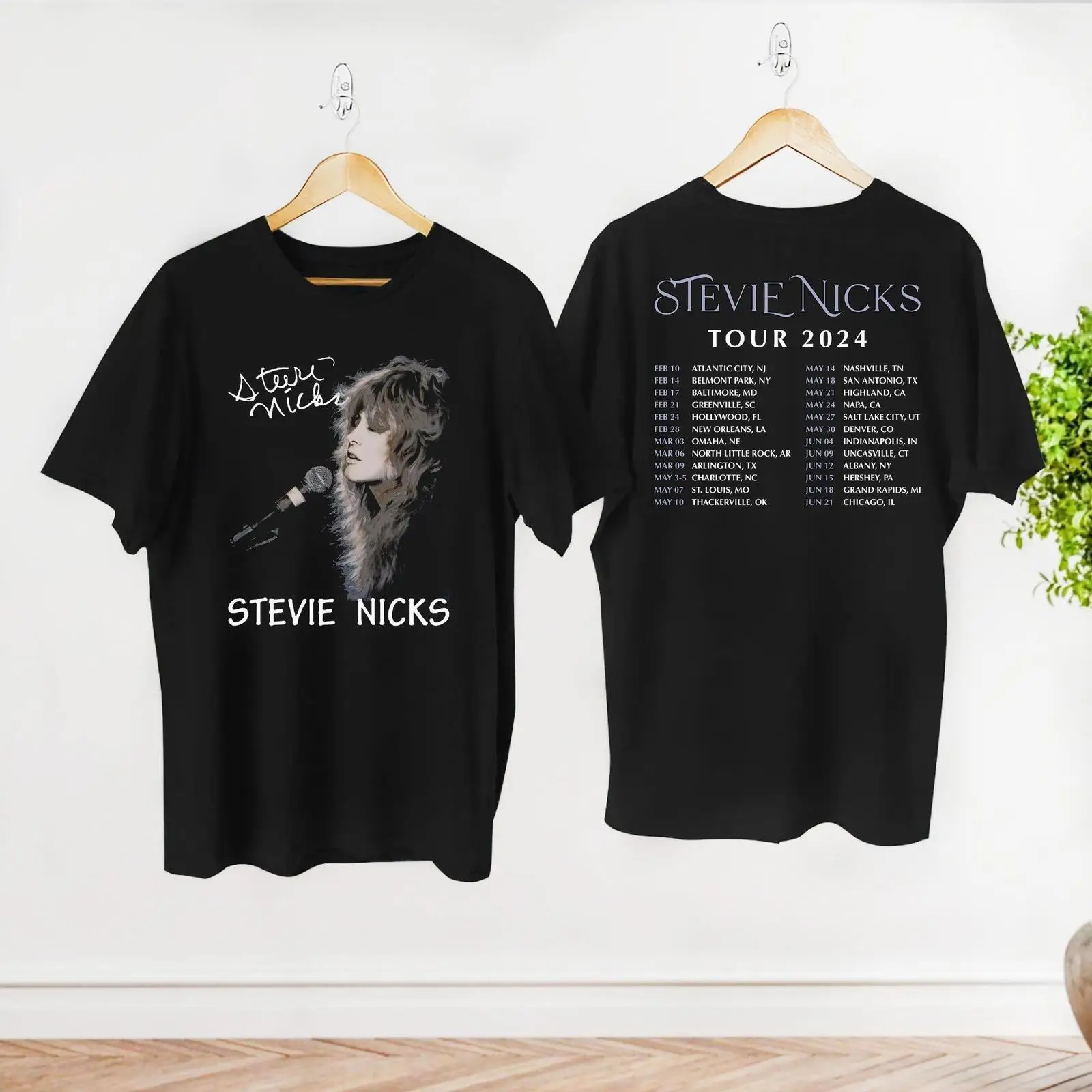 Graphic Stevie Nicks Tour 2024 рубашка концертная футболка F