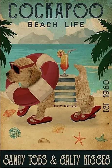 Vntge Sgns Metl Bech Cocktl Lfe Cockpoo Tn Sgn Wll Плакат для дома Br Cfe Grge Bthroom 12x8 nches