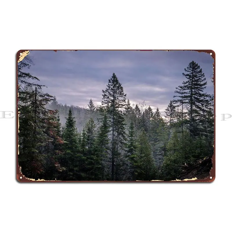 

Canadian Forest On Sunrise Metal Plaque Poster PaintingDecoration Kitchen Plaques Tin Sign Poster