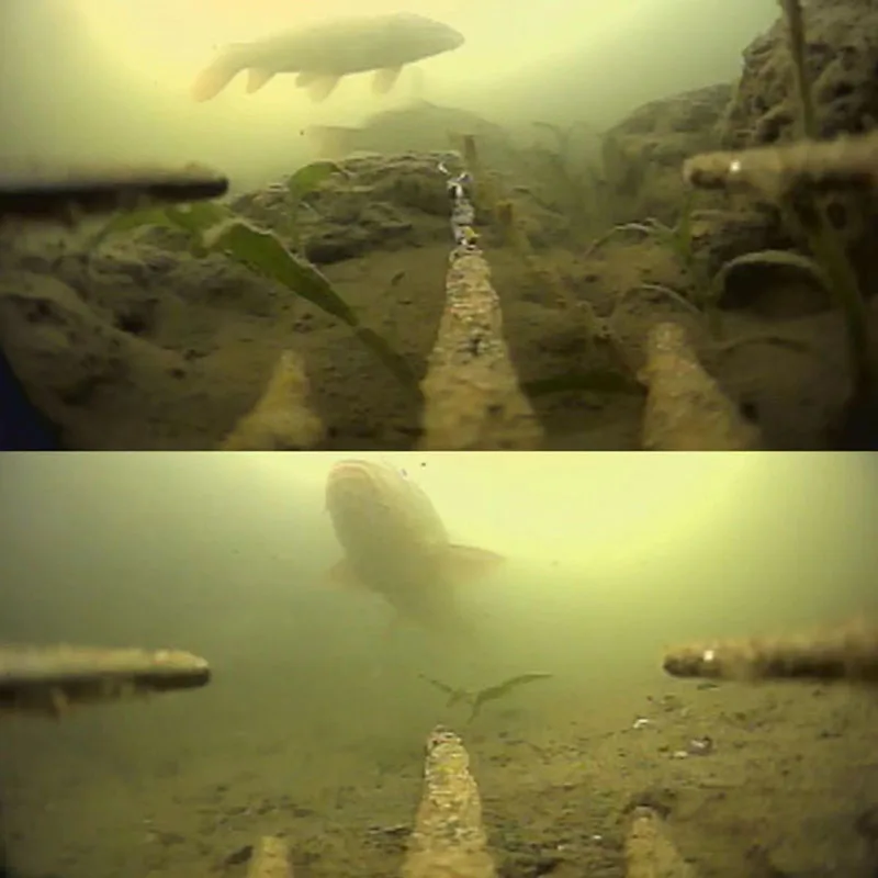 Рыболовная камера с HD-объективом стабильная и легкая запись активности рыбы в