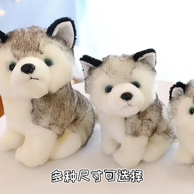 

20-30cm New Adult Children's Kawaii Simulation Husky Doll Plush Toys Pillow Erhu Dog Children Birthday Gift Soft Toy Christmas