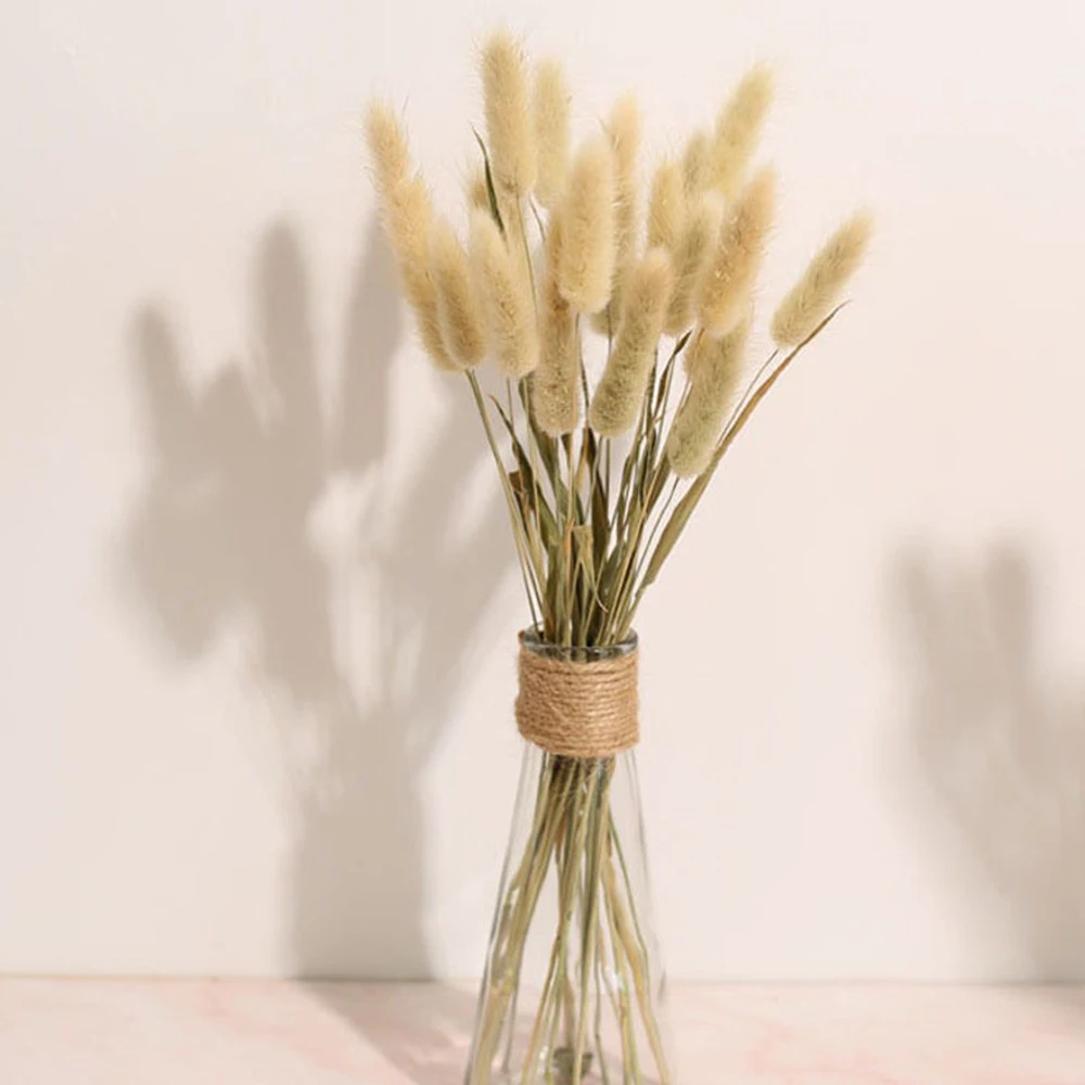 

50Pcs Rabbit Tails Grass Natural Dried Flowers DIY Craft Flower Arrangements Bouquet Boho Decor for Living Room Wedding Supplies