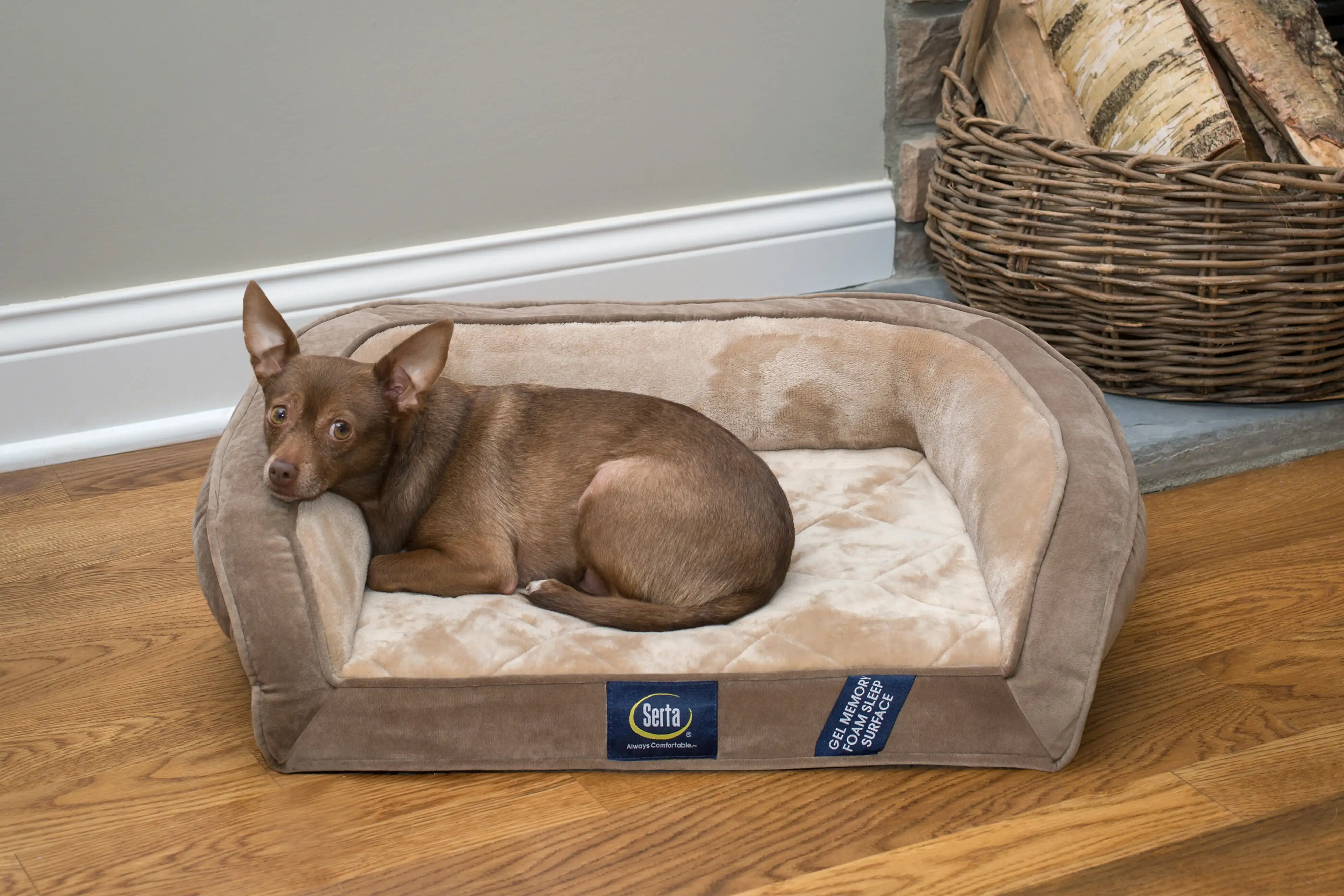 

Gel Memory Foam Quilted Ortho Couch Dog Bed, Small Brown