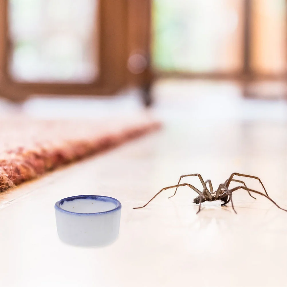 24 шт. миска для воды рептилий контейнер корма домашних животных кормушка