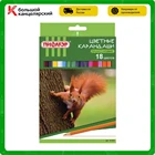 Набор цветных карандашей Пифагор Лесные жители, 18 цветов, пластиковые